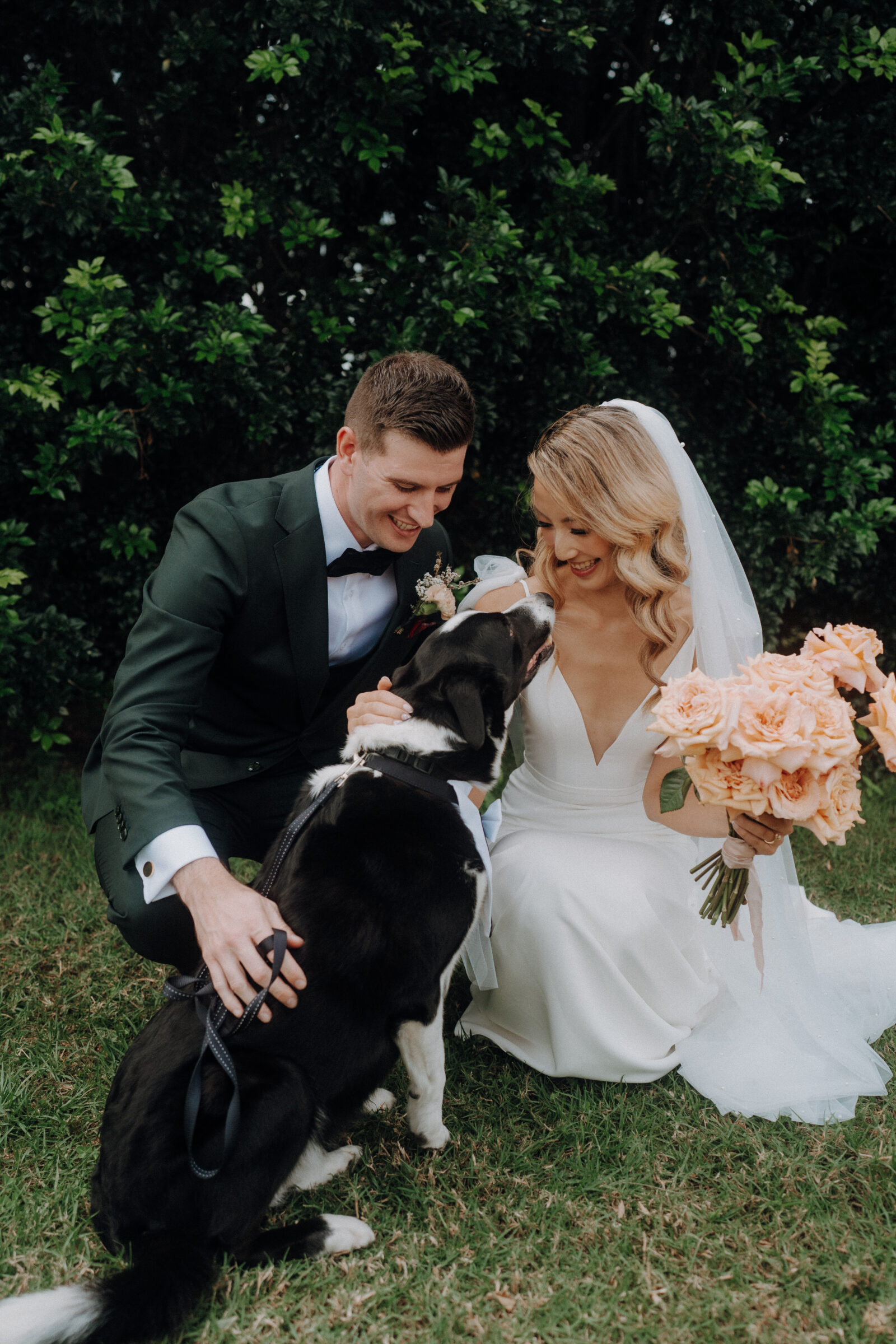 Bride and groom in wedding attire kneeling on grass, smiling at a black and white dog. Bride holds a bouquet of peach roses. Lush greenery in the background.