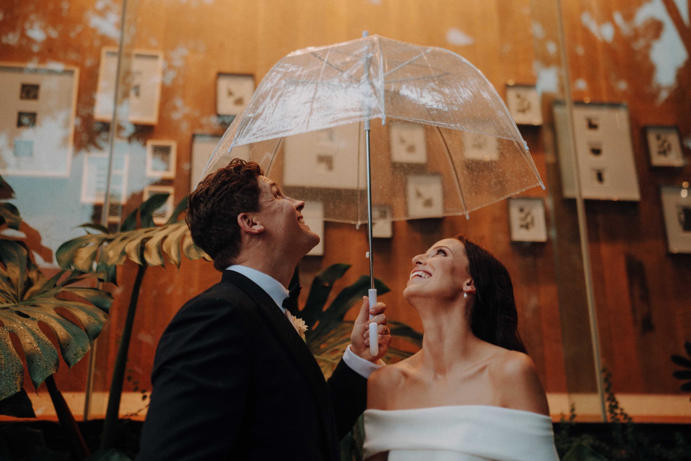 A couple in formal attire shares a clear umbrella, looking up with smiles, surrounded by greenery and framed pictures in the background.