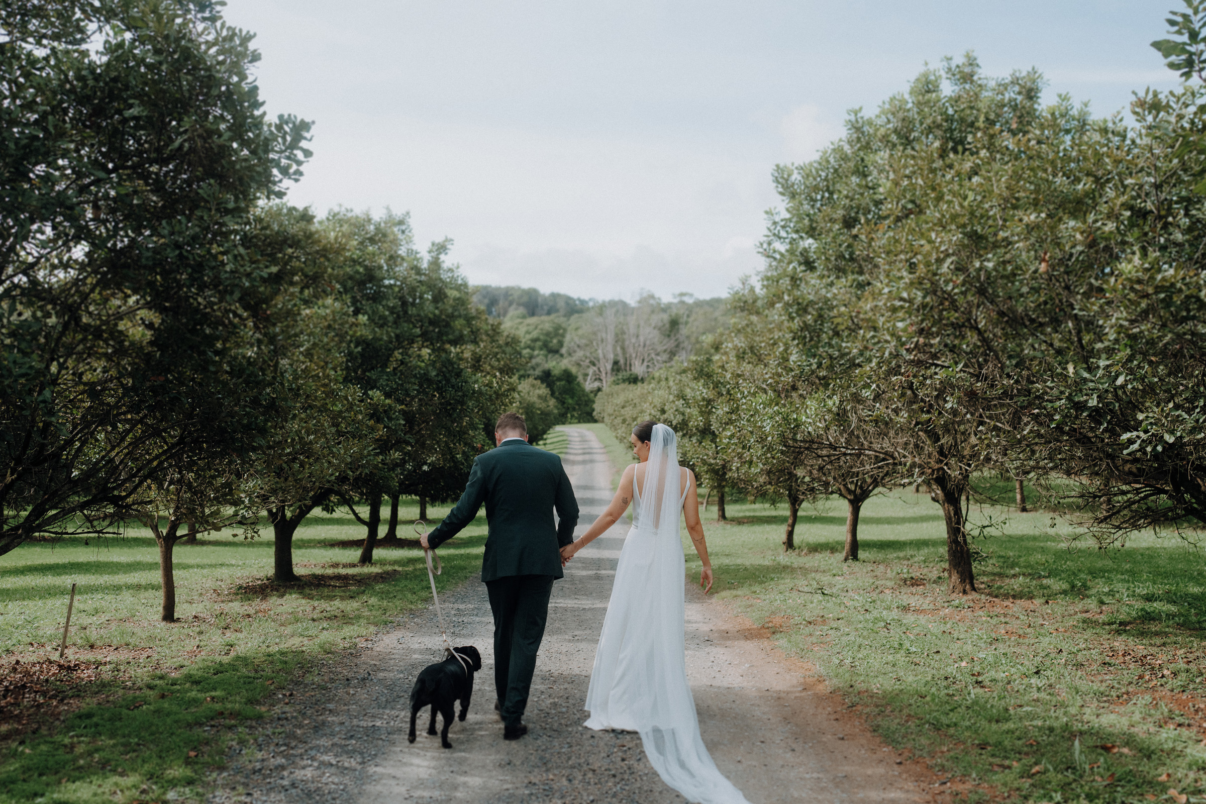 A couple, dressed formally, walks hand in hand with a black dog on a path through a grove of trees.