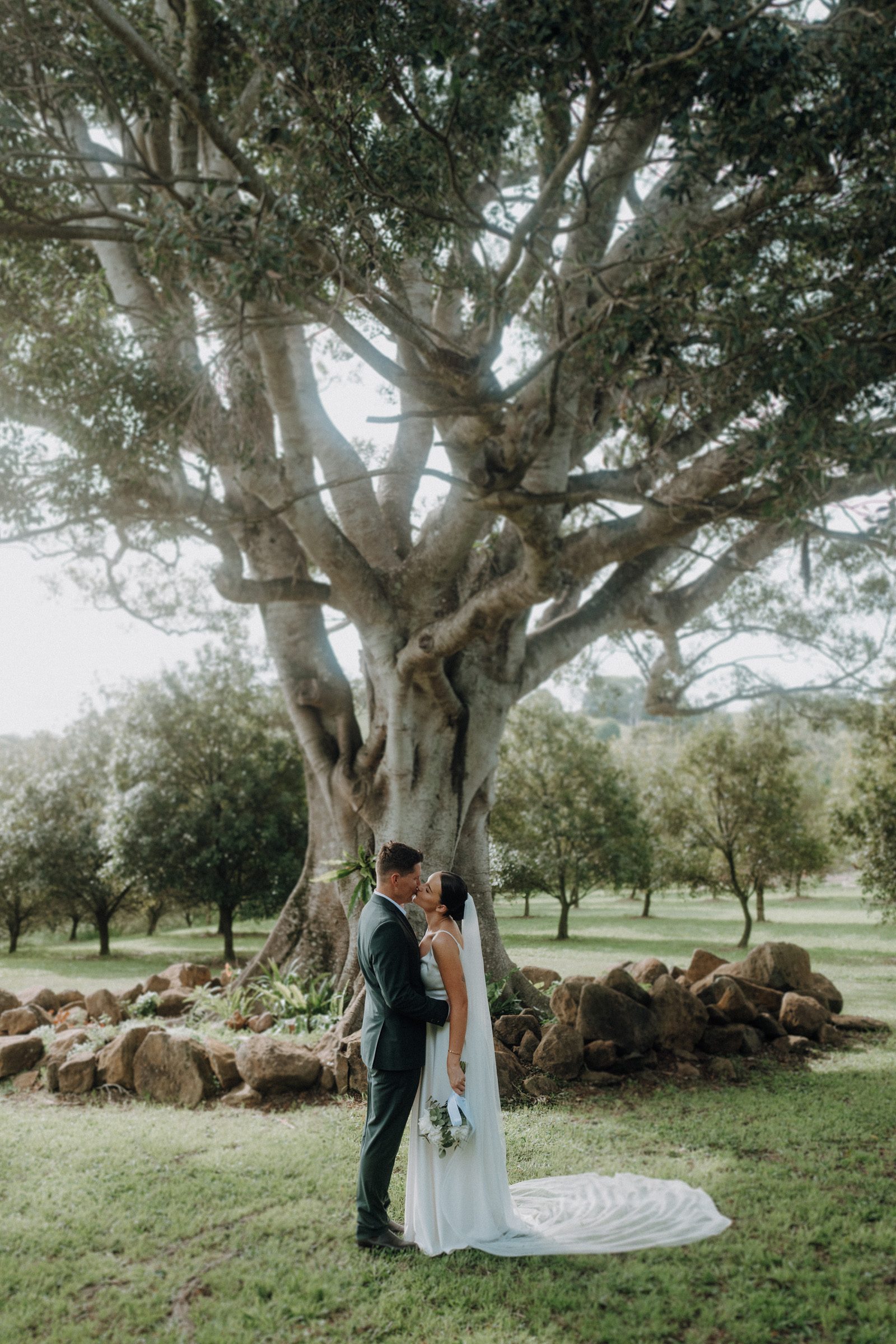 A bride and groom stand under a large tree in a grassy area, looking at each other. The groom holds the bride's waist, and the bride holds a bouquet. Rocks are scattered around the base of the tree.