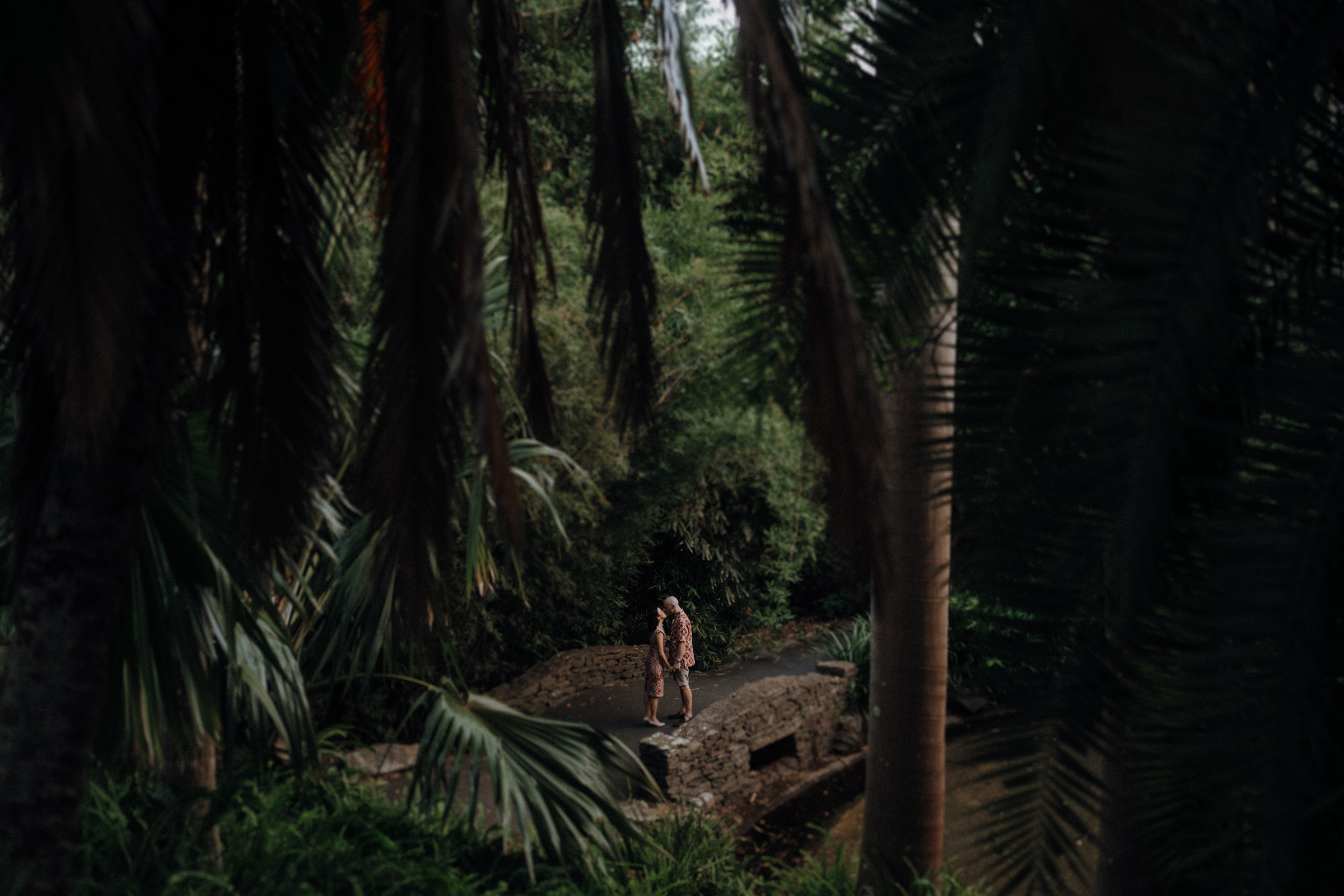 Two people walk on a stone path in a dense, green forest surrounded by tall trees and foliage.