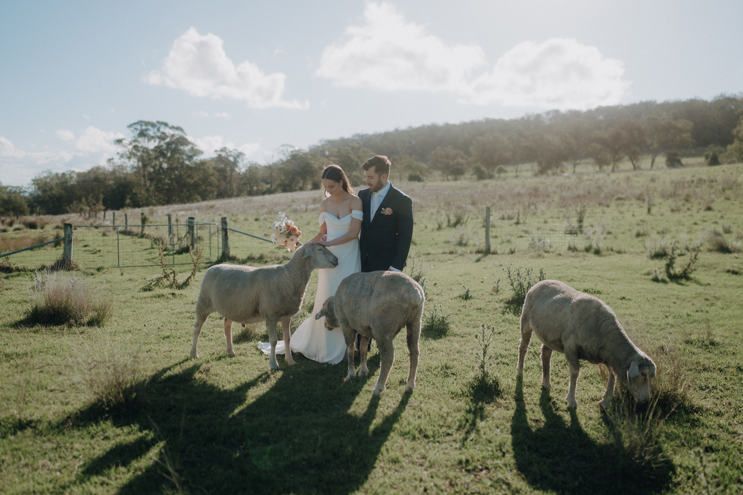 Bride and groom stand together in a grassy field, surrounded by sheep, under a sunny sky.